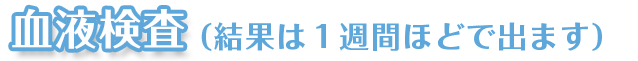 血液検査(結果は1週間ほどで出ます)